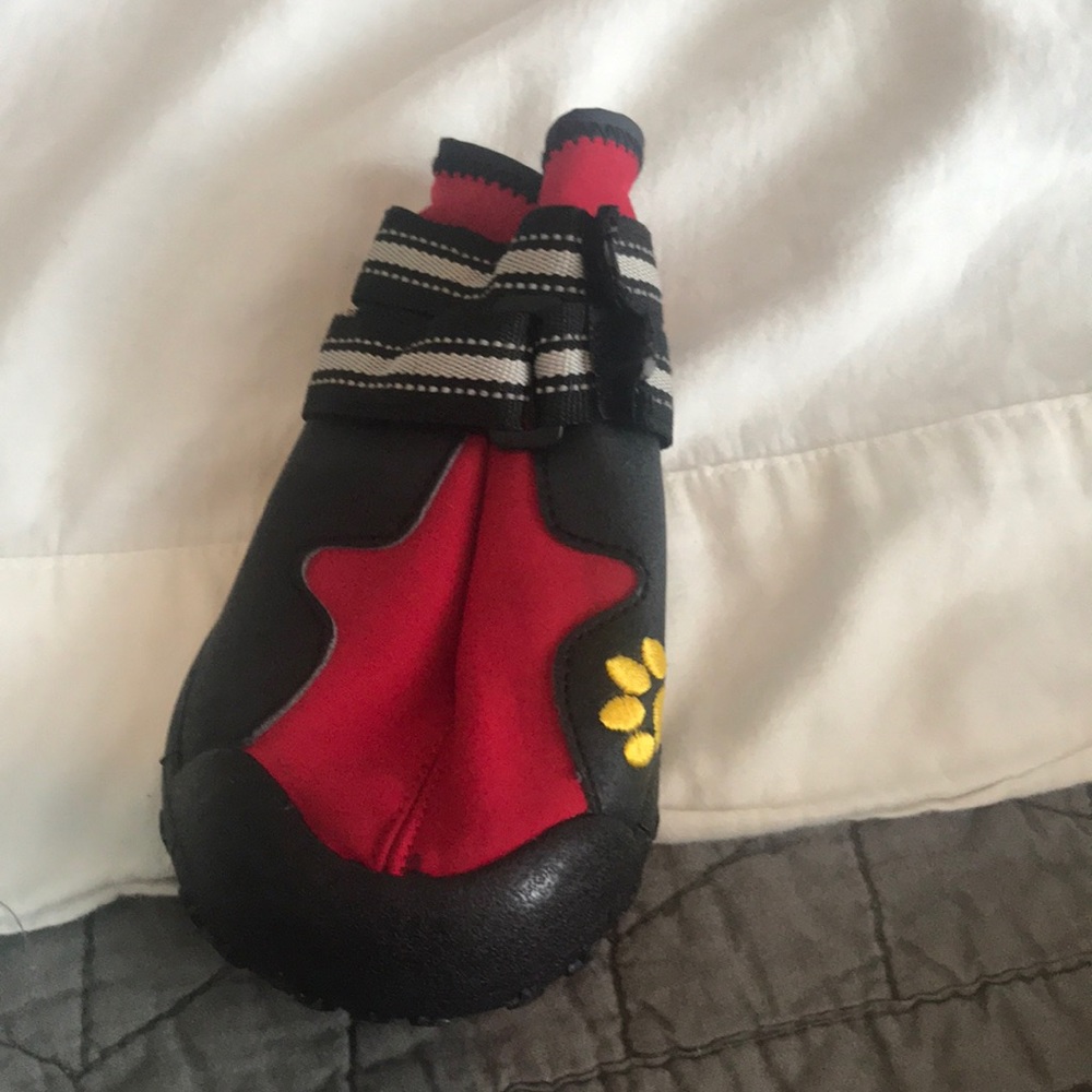 dog booties / shoes xl